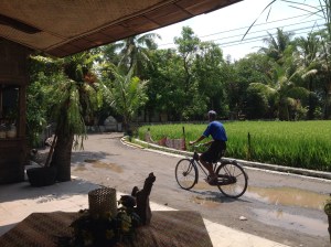 Breakfast by rice fields watching village life pass