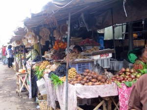 Snake fruit and many other unfamiliar exotic fruit.
