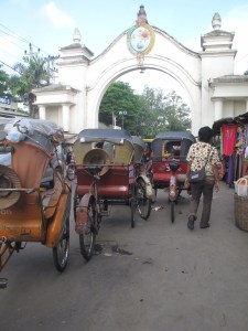 Eco walking ahead of me weeding through the bejaks.