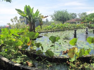 Tirtagangga Water Gardens, Bali.