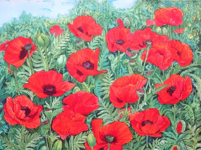 Poppy flower Garden, batik art on paper by Marina Elphick. Contemporary British batik artist.