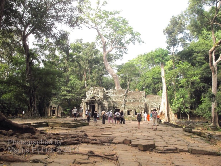 Marina on her inspirational travels.