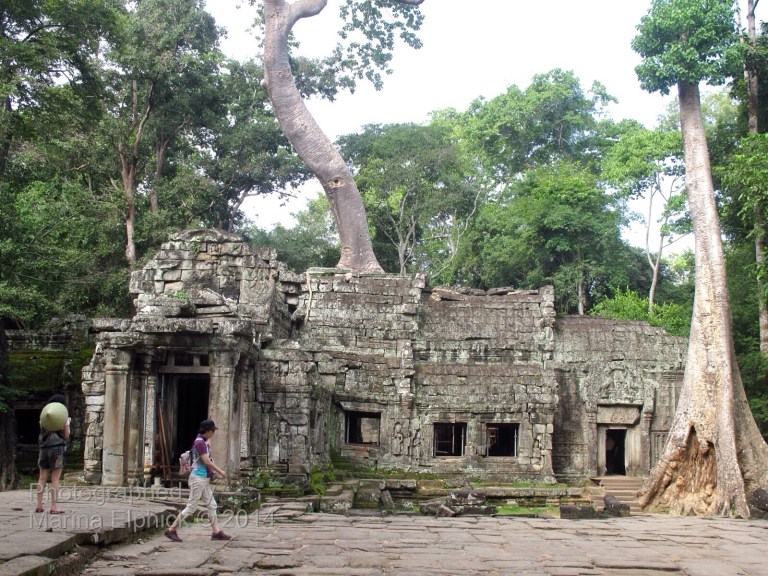 Marina on her inspirational travels.