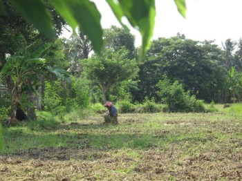 Inspirational Batik travels by Marina Elphick, on The Batik Route.
