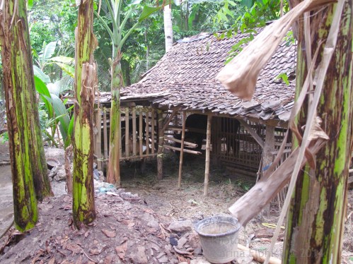 Inspirational Batik travels by Marina Elphick, on The Batik Route.