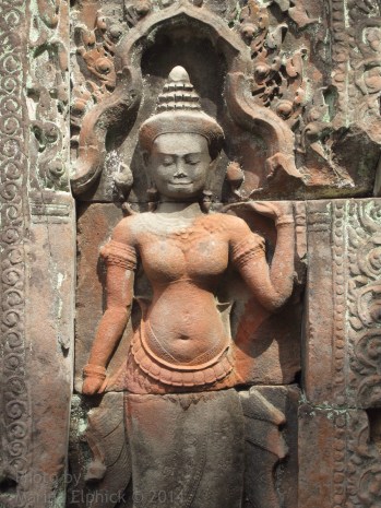 Marina's inspirational adventures.