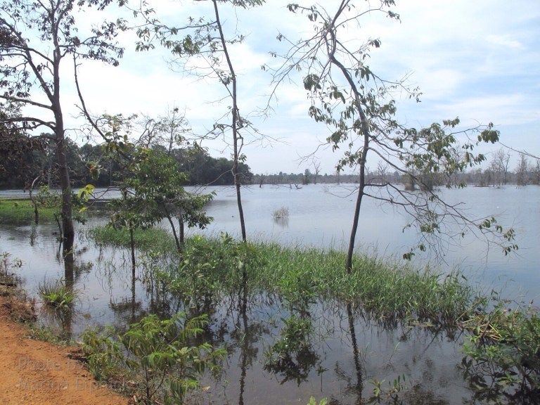 Marina's inspirational adventures.