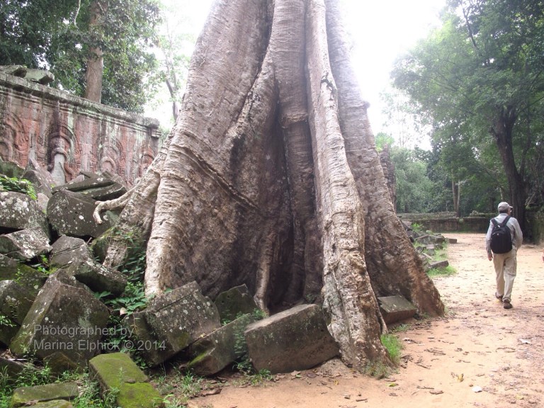 Marina on her inspirational travels.