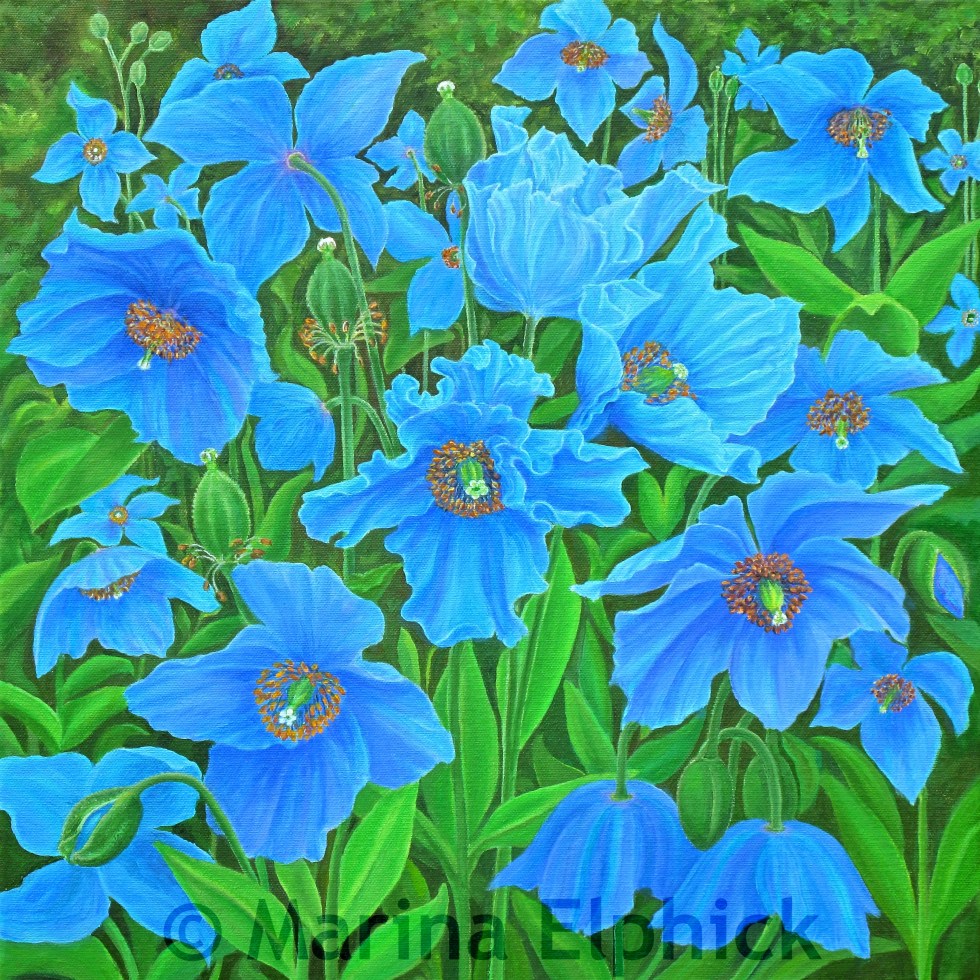 Himalayan Blue, oil on canvas by Marina Elphick, painter and batik artist working in the UK